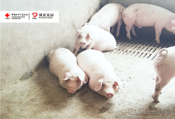 产业链延伸 山航物流加入电商大军