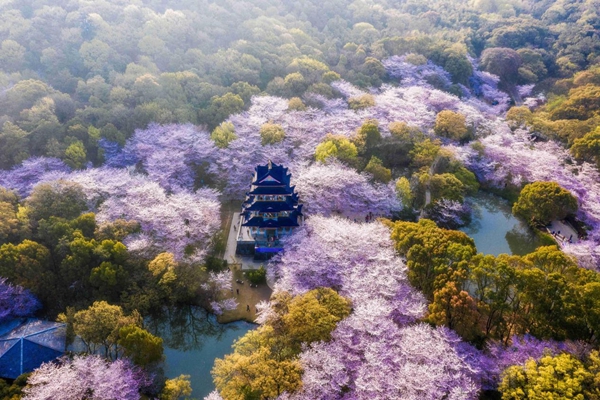 图片 2